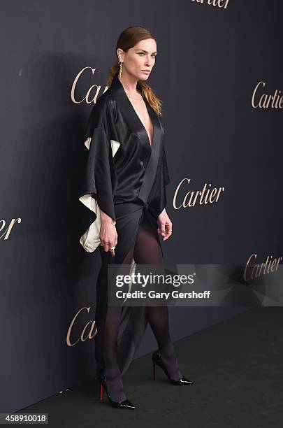 Model Erin Wasson attends the Maison Cartier 100th anniversary celebration of their emblem La Panthere De Cartier! at Skylight Clarkson Sq on...