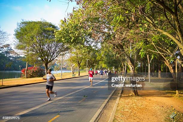 parque de ibirapuera - ibirapuera park fotografías e imágenes de stock