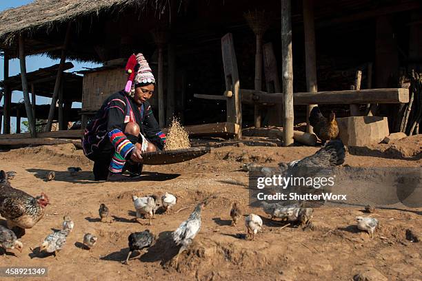akha hill tribe woman - akha woman stock pictures, royalty-free photos & images