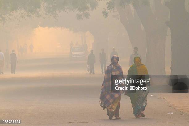 straßen von neu-delhi - luftverschmutzung stock-fotos und bilder