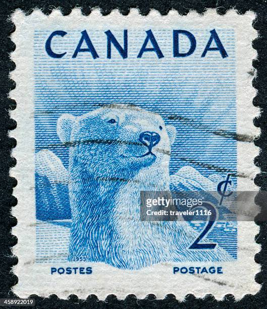 polar bear stamp - antarctica polar bear stock pictures, royalty-free photos & images