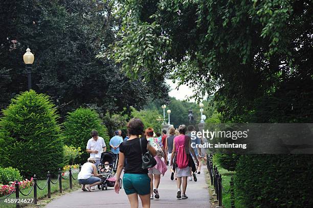 public garden in boston - freedom trail stock pictures, royalty-free photos & images