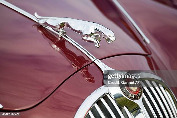 jaguar ornament en la cubierta de un coche de época - automóvil jaguar fotografías e imágenes de stock
