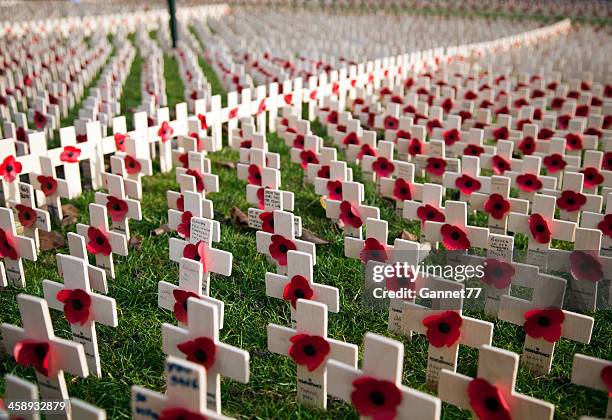 champ de souvenir, edinburgh 2012 - remembrance sunday photos et images de collection