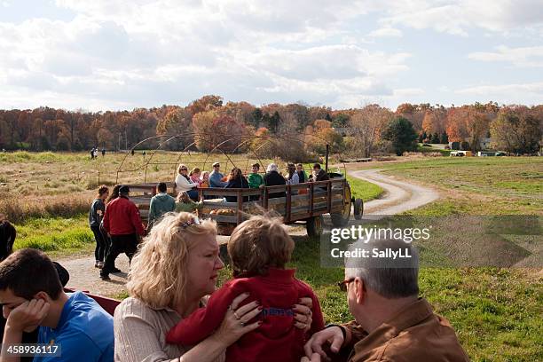 hayride - hayride stock pictures, royalty-free photos & images