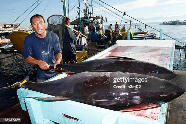 loading tuna into a cart - ahi tuna bildbanksfoton och bilder