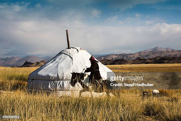 mongolian jurt with horseman in the altai area - semi arid stock pictures, royalty-free photos & images