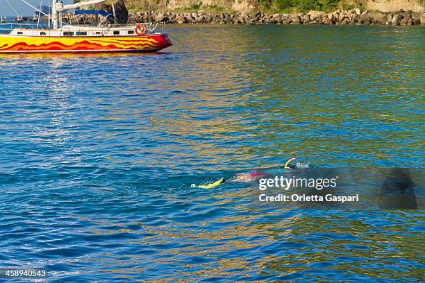 snorkeling at anse chastanet, saint lucia - anse chastanet stock pictures, royalty-free photos & images