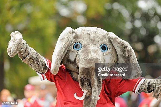 big al in alabama homecoming parade - homecoming stock pictures, royalty-free photos & images