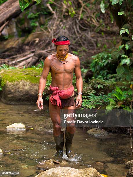 homem mentawai - ilhas mentawai imagens e fotografias de stock