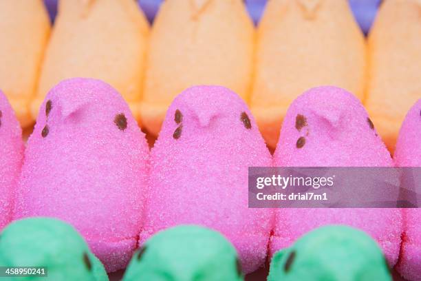 lineup of peeps - easter candy stock pictures, royalty-free photos & images