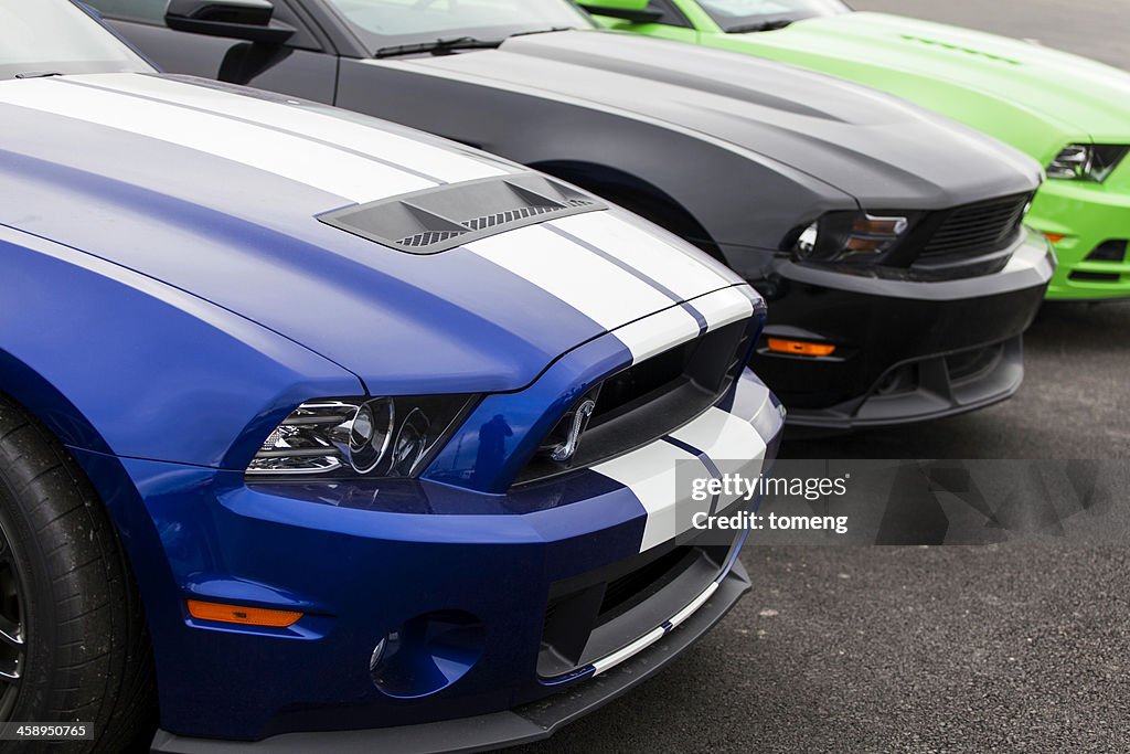 Ford and Shelby Mustangs