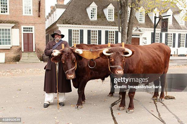 scene in colonial williamsburg - colonial williamsburg stock pictures, royalty-free photos & images