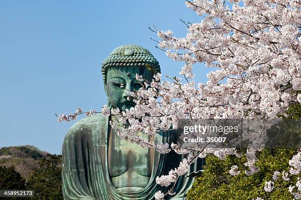 the great buddha - kamakura, japan - kamakura city stock pictures, royalty-free photos & images