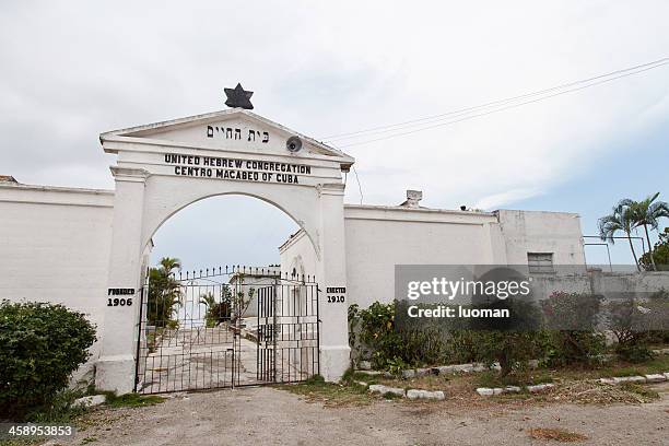 jewish cemitery in habana, cuba - dying houseplant stock pictures, royalty-free photos & images