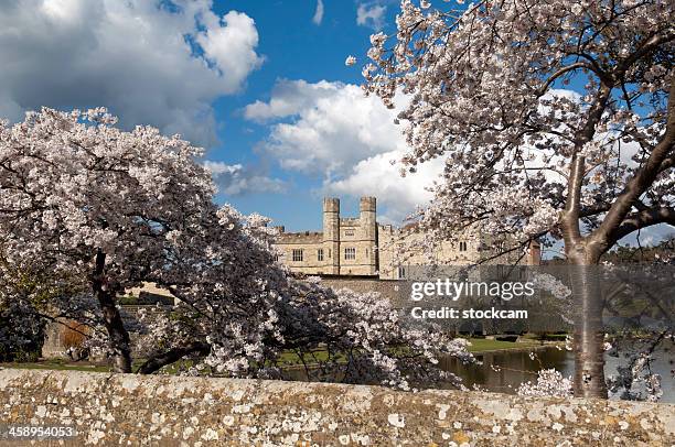 leeds castle - leeds castle stock-fotos und bilder