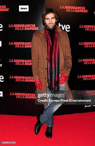 Angel Caballero attends 'La Ignorancia de la Sangre' premiere on November 13, 2014 in Madrid, Spain.