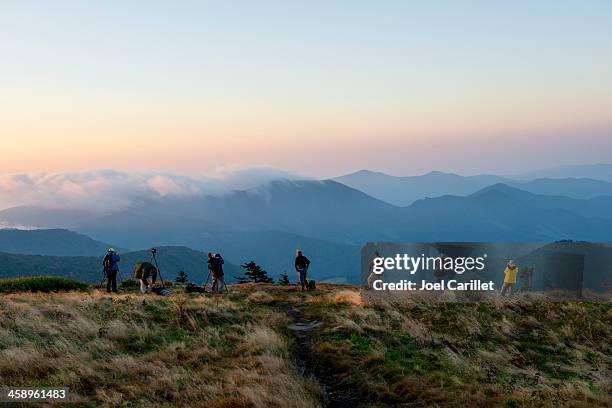 photographers at sunrise on roan mountain - hiking appalachian trail stock pictures, royalty-free photos & images