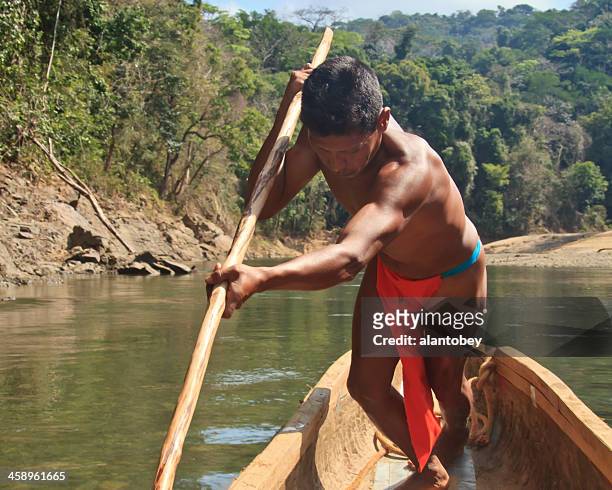パナマ：embera シャグレ川のボートマン - dugout canoe ストックフォトと画像