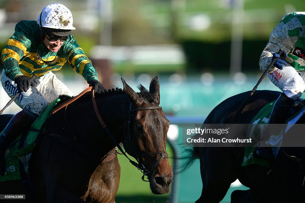 Cheltenham Races