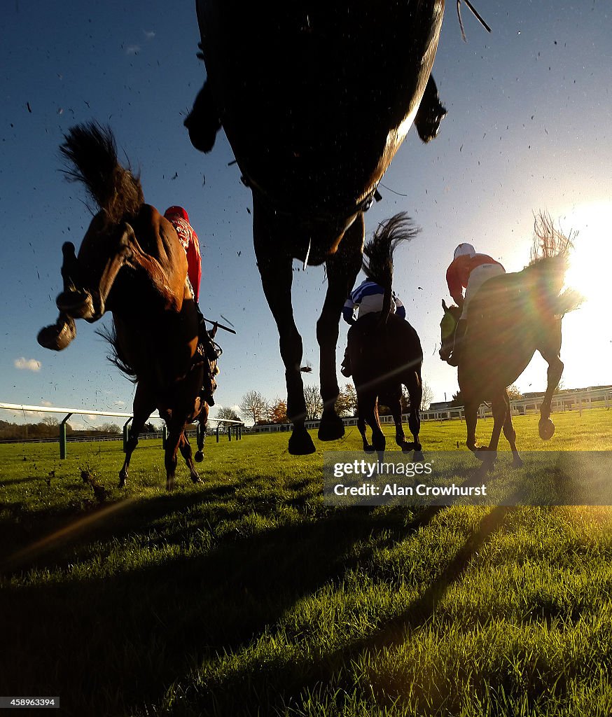 Cheltenham Races