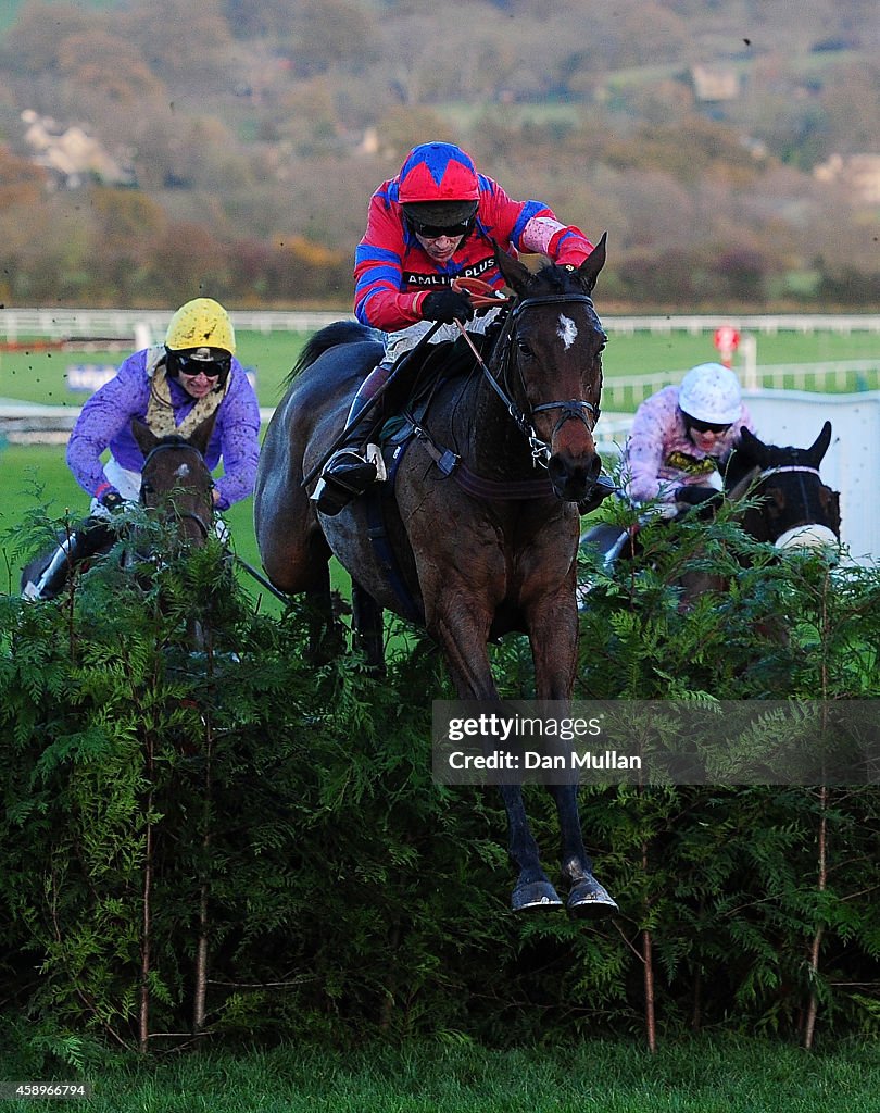 Cheltenham Races