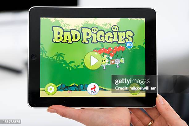 playing bad piggies the succesor of angry birds - angry birds namngivna videospel bildbanksfoton och bilder