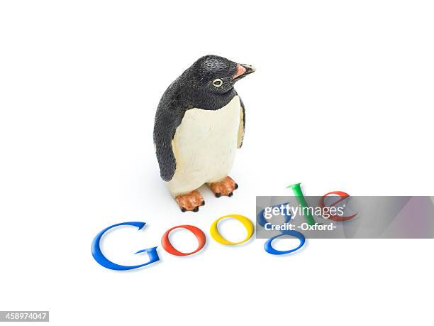 google penguin - webmaster stock pictures, royalty-free photos & images