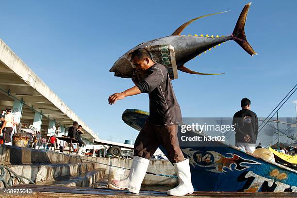 yellow fin tuna - yellow fin tuna fish stockfoto's en -beelden