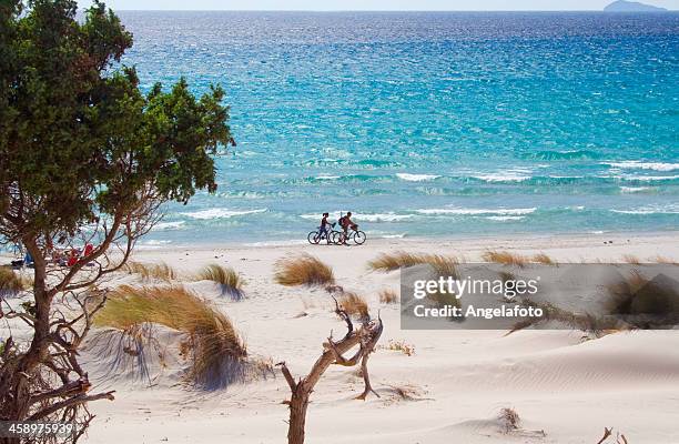 spiaggia di teulada, sardegna, italia. - sardegna foto e immagini stock