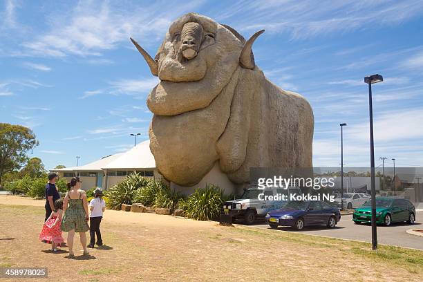 goulburn - big merino - road trip new south wales stock pictures, royalty-free photos & images