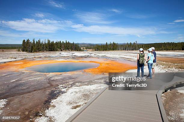 opal pool, yellowstone national park - terryfic3d stock pictures, royalty-free photos & images