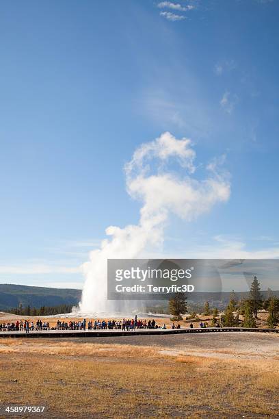 old faithful, yellowstone national park - terryfic3d stock pictures, royalty-free photos & images