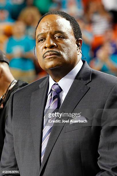 Sportscaster James Brown looks on late in the second quarter of the game between the Miami Dolphins and the Buffalo Bills on November 13, 2014 at Sun...