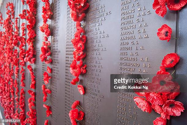 australian war memorial - wall of remembrance - remembrance poppy stock pictures, royalty-free photos & images
