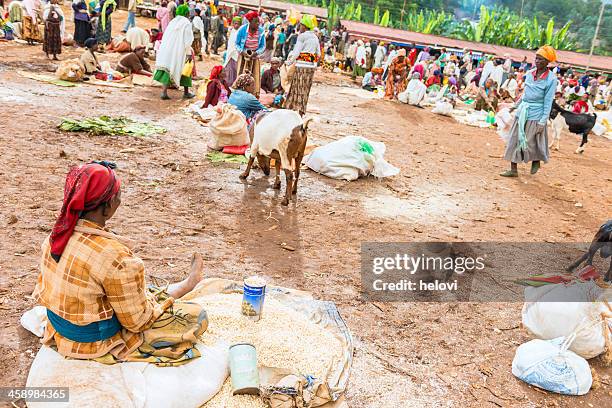 dorze market - ethiopian farming stock pictures, royalty-free photos & images