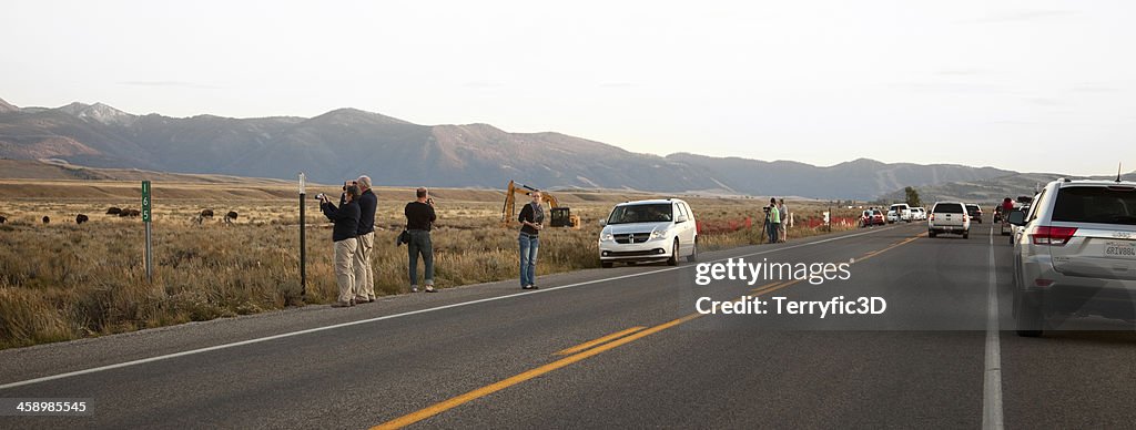 Buffalo Jam, Wyoming