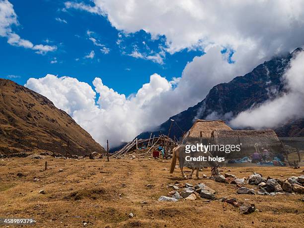 trekking salcantay mountain, peru - vilcabamba peru stockfoto's en -beelden