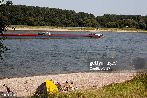 summer at the river - rhine river stock pictures, royalty-free photos & images