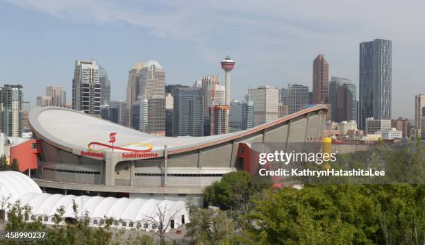 saddledome, stampede park and downtown bulidings in calgary, alberta, canada - calgary saddledome stock pictures, royalty-free photos & images