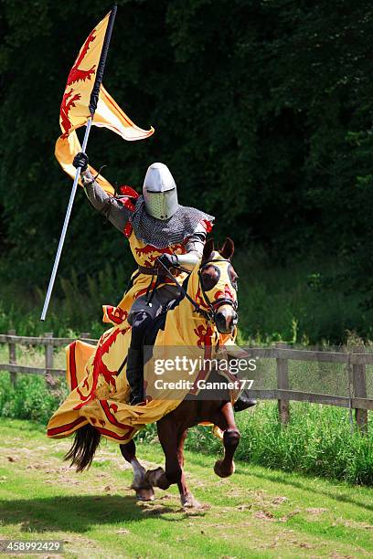 mounted knight charging with the royal standard of scotland - medieval flag stock pictures, royalty-free photos & images