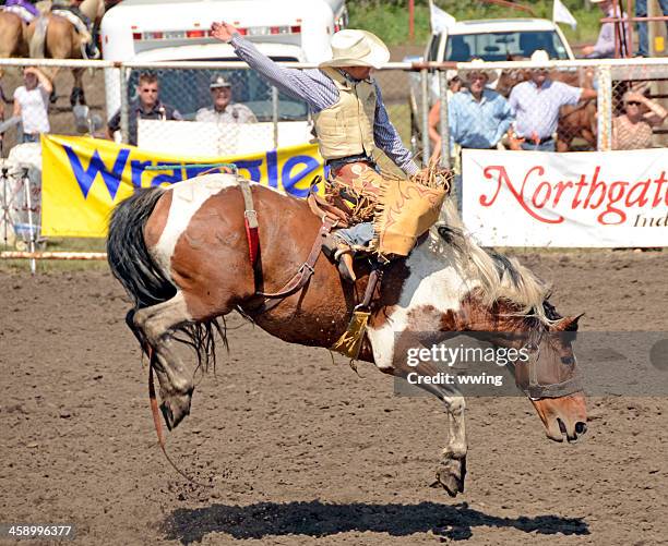 Bronc Rider Animals 2,278 Bronco Animal Stock Photos, High-Res Pictures, and Images - Getty ...