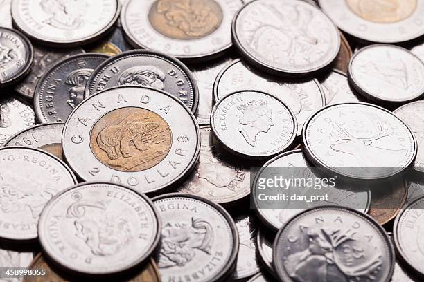 canadian currency - loonie stock pictures, royalty-free photos & images