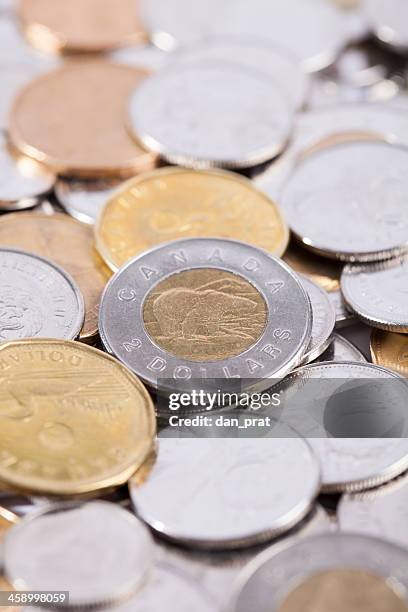 canadian currency - loonie stock pictures, royalty-free photos & images