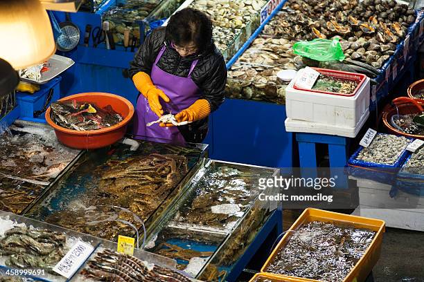 noryangjin fisheries wholesale market - korea market stock pictures, royalty-free photos & images