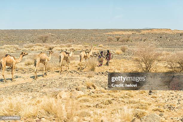 afar depression - horn von afrika stock-fotos und bilder