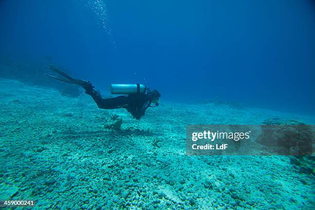 Decompression Stop 104 Decompression (Diving) Stock Photos, High-Res Pictures, and Images ...