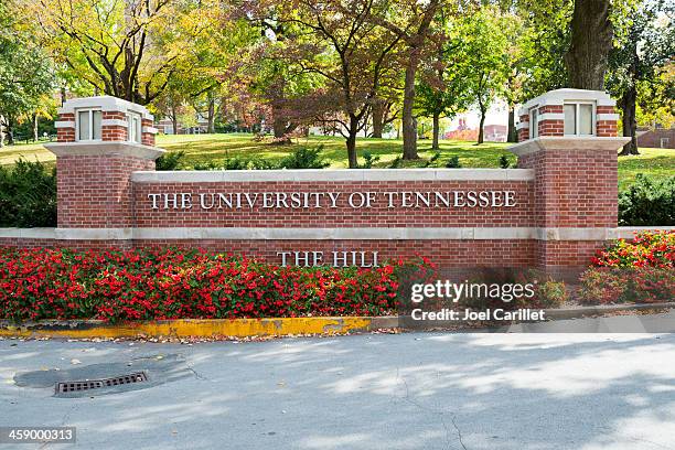 universidad de tenneessee - knoxville tennessee fotografías e imágenes de stock