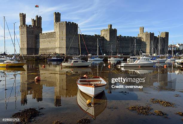 caernarfon castle - caernarfon castle stock pictures, royalty-free photos & images