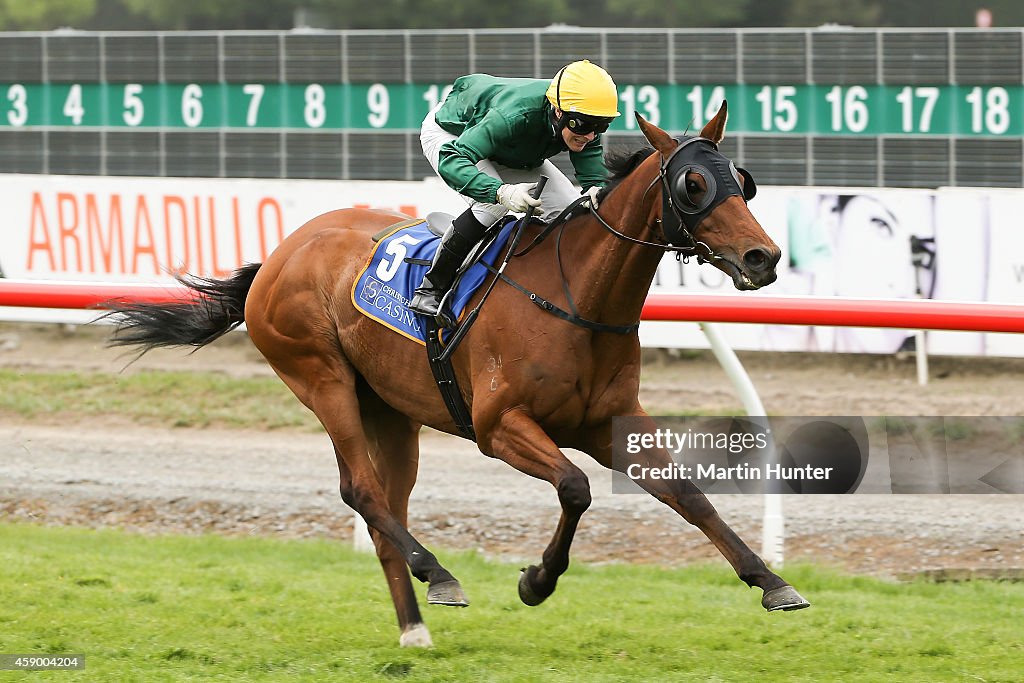 NZ Cup & NZ Bloodstock 100 Guineas Day 2014